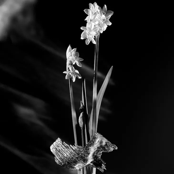Matière Noire
